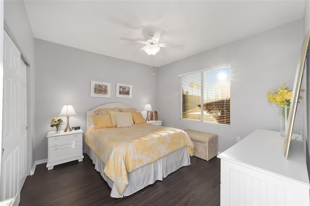 bedroom with dark wood-type flooring, ceiling fan, and a closet