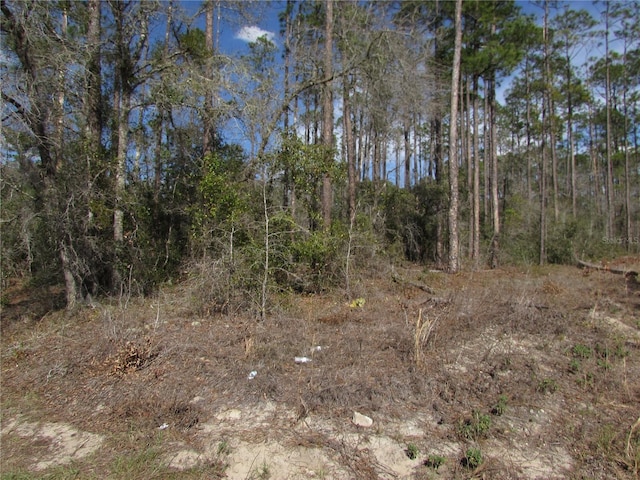 LOT16 SW Westview Ave, Dunnellon FL, 34431 land for sale