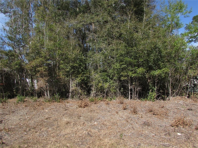 LOT32 SW Robin Dr, Dunnellon FL, 34431 land for sale