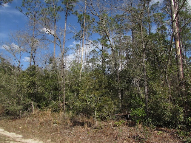 LOT17 SW Westview Ave, Dunnellon FL, 34431 land for sale