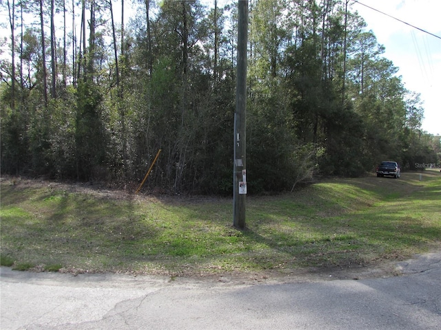 Listing photo 3 for LOT1 SW Marine Blvd, Dunnellon FL 34431