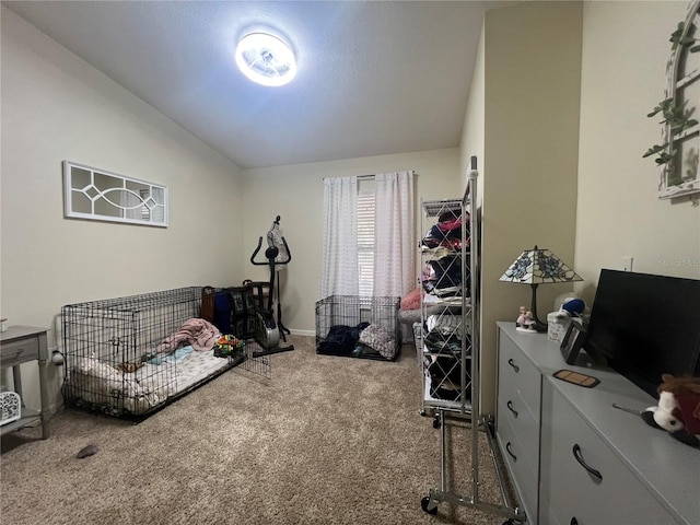 exercise area featuring lofted ceiling, baseboards, and carpet flooring