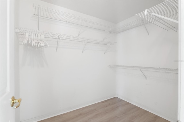 spacious closet with wood finished floors