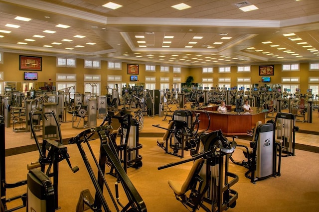 gym featuring light colored carpet and ornamental molding