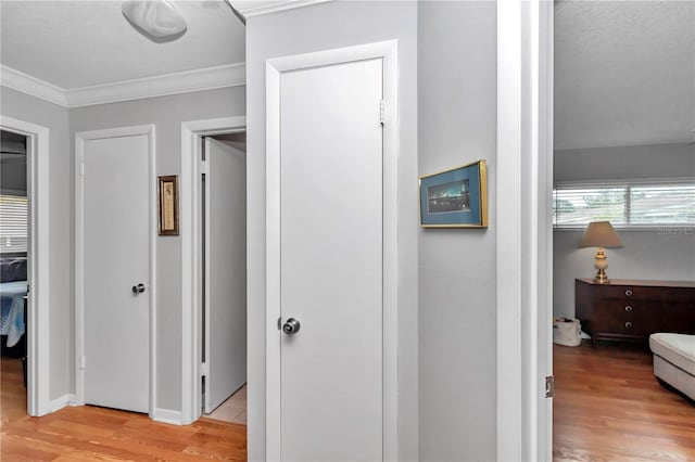 corridor featuring light wood-type flooring and crown molding