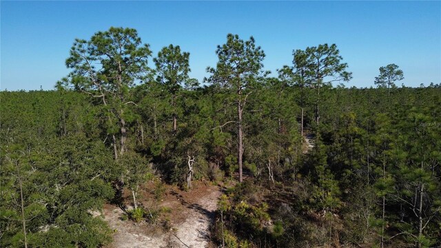 12500 NE 87th Pl, Bronson FL, 32621 land for sale