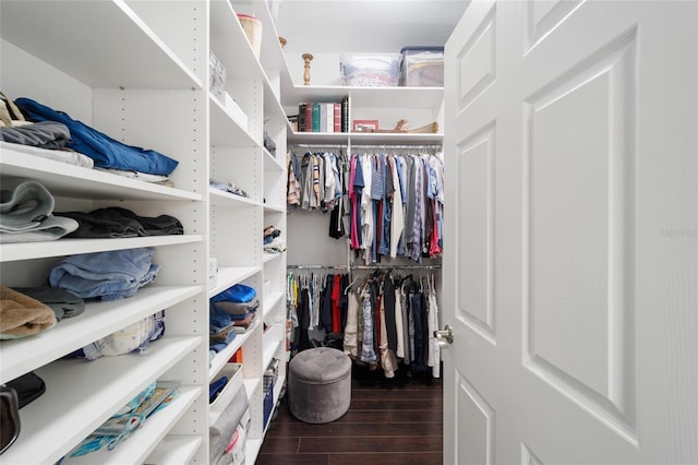 spacious closet with dark wood finished floors