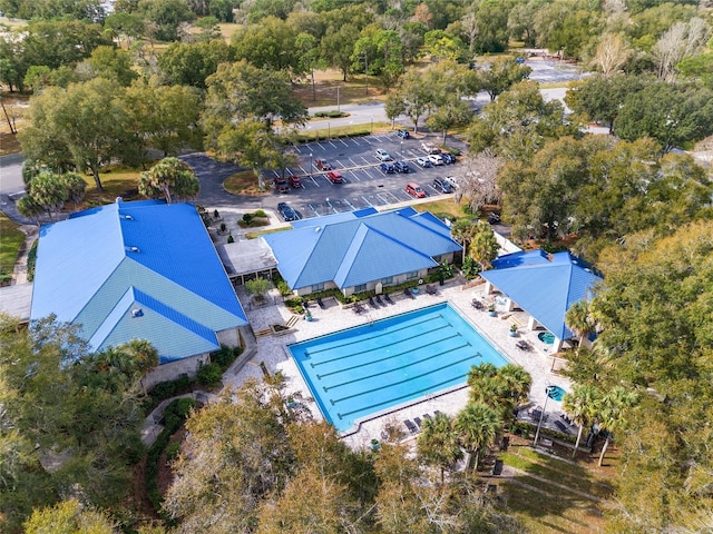 bird's eye view of a pool