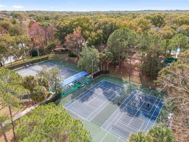 bird's eye view of a forest