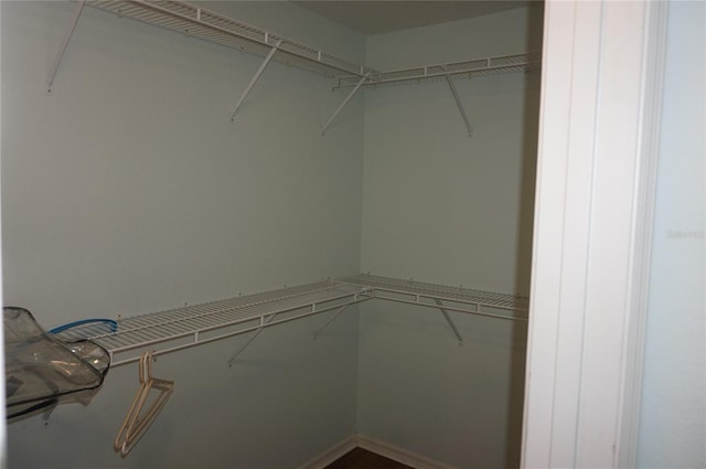 view of walk in closet