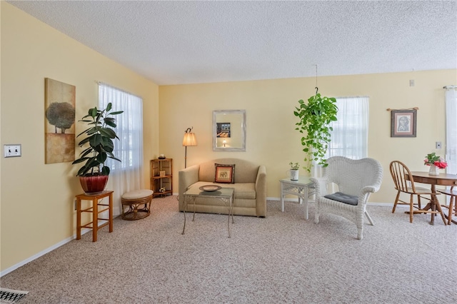 living room featuring carpet, a textured ceiling, and a healthy amount of sunlight