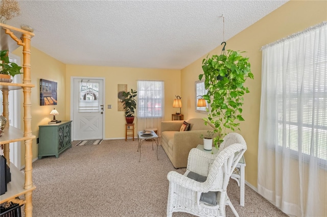 living area with a textured ceiling and carpet flooring