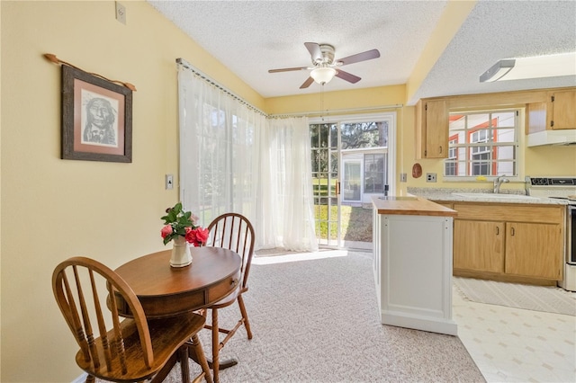 carpeted dining room with ceiling fan, sink, and a textured ceiling