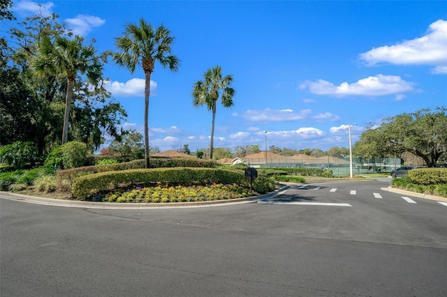 view of street with curbs