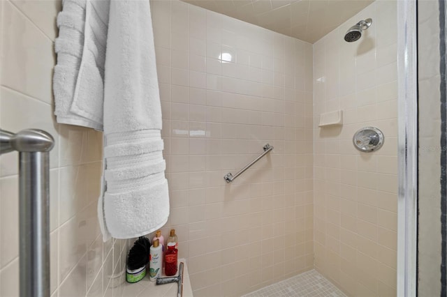 bathroom featuring a shower stall