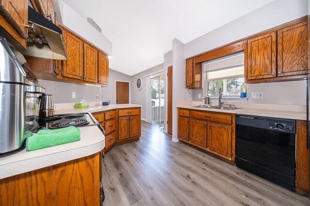 kitchen featuring sink, vaulted ceiling, light hardwood / wood-style flooring, and dishwasher