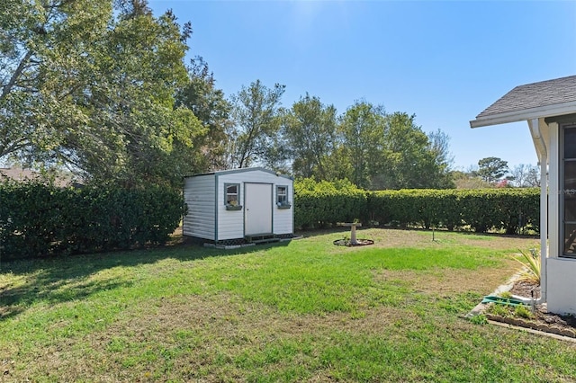 view of yard with a storage unit