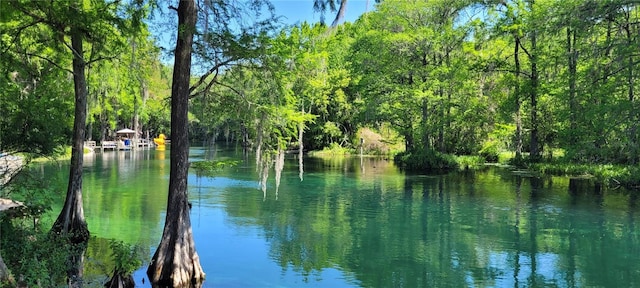 view of water feature featuring a forest view
