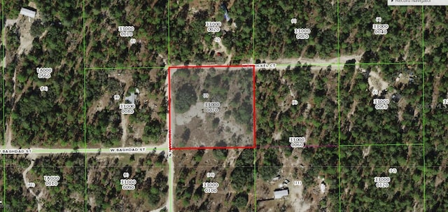 6158 N Navy Ter, Dunnellon FL, 34433 land for sale