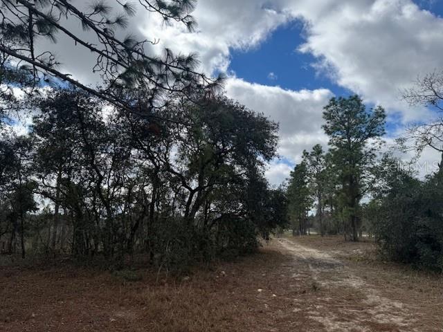 LOTB Se State Road 121, Morriston FL, 32668 land for sale