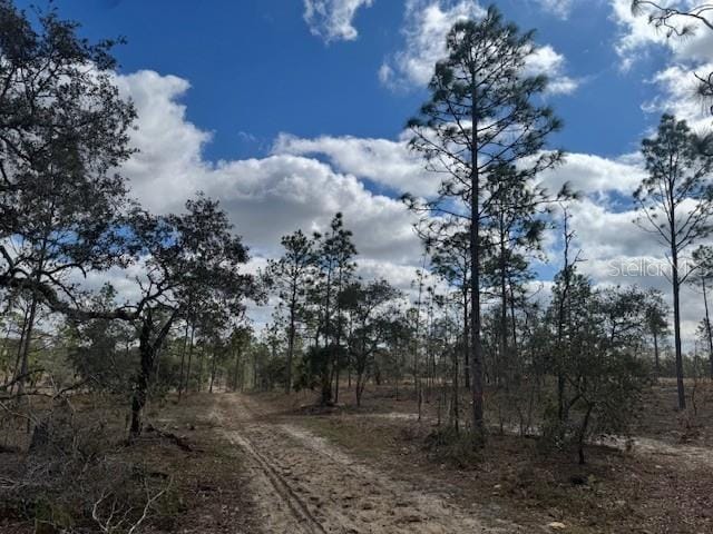 LOTA Se State Road 121, Morriston FL, 32668 land for sale