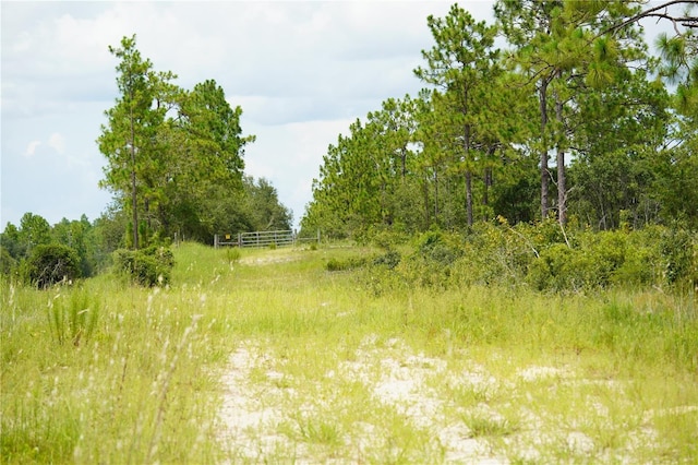 SE State Road 121, Morriston, FL 32668 - photo 4