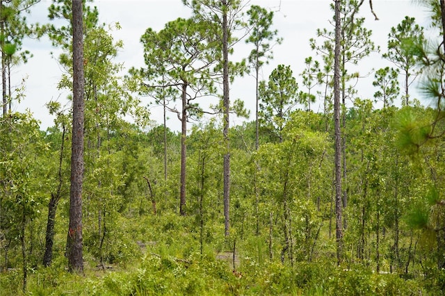 SE State Road 121, Morriston, FL 32668 - photo 5