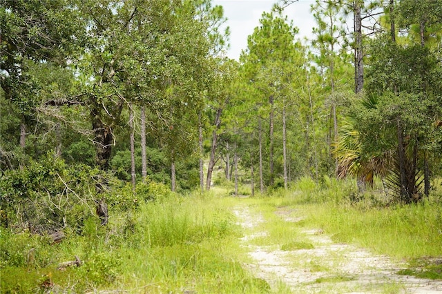SE State Road 121, Morriston, FL 32668 - photo 6