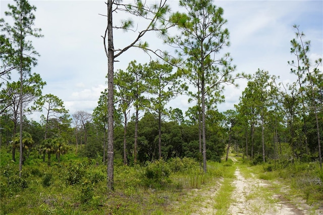 SE State Road 121, Morriston, FL 32668 - photo 9