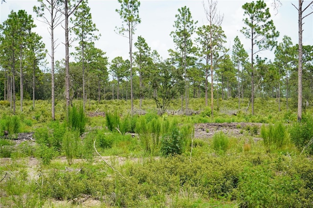 SE State Road 121, Morriston, FL 32668 - photo 11