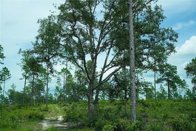 SE State Road 121, Morriston, FL 32668 - photo 12