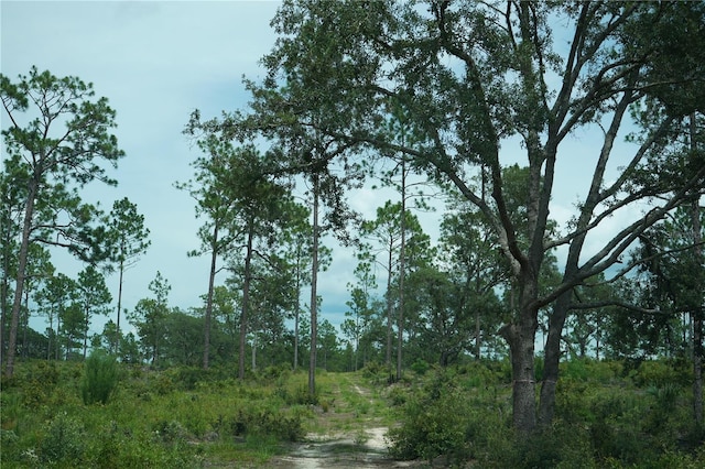 SE State Road 121, Morriston, FL 32668 - photo 13