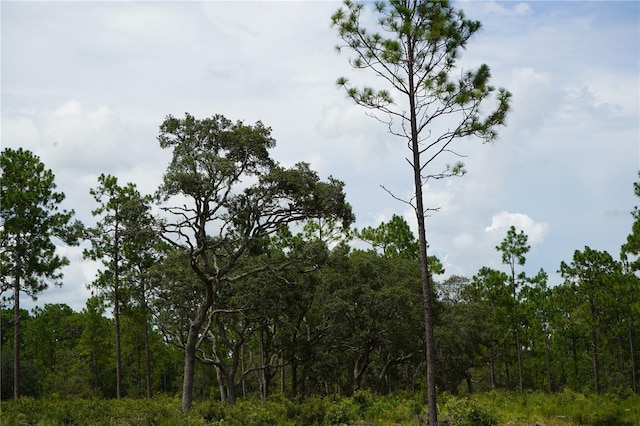 SE State Road 121, Morriston, FL 32668 - photo 14