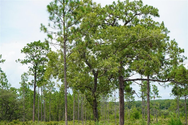 SE State Road 121, Morriston, FL 32668 - photo 15