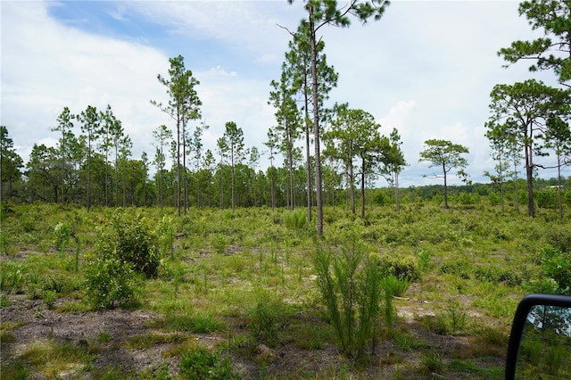 SE State Road 121, Morriston, FL 32668 - photo 16