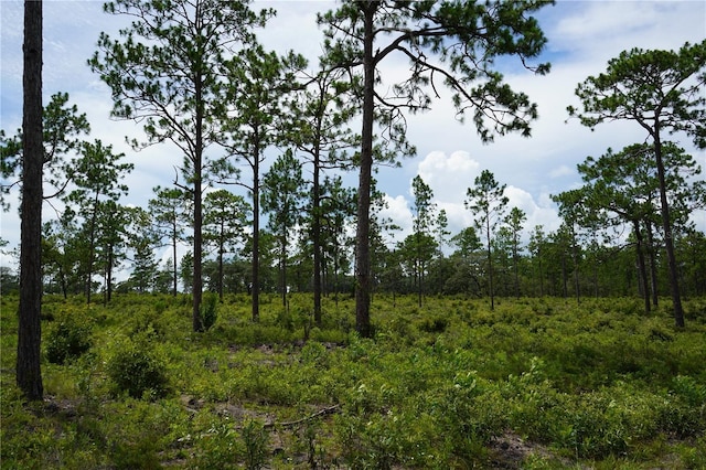 SE State Road 121, Morriston, FL 32668 - photo 17
