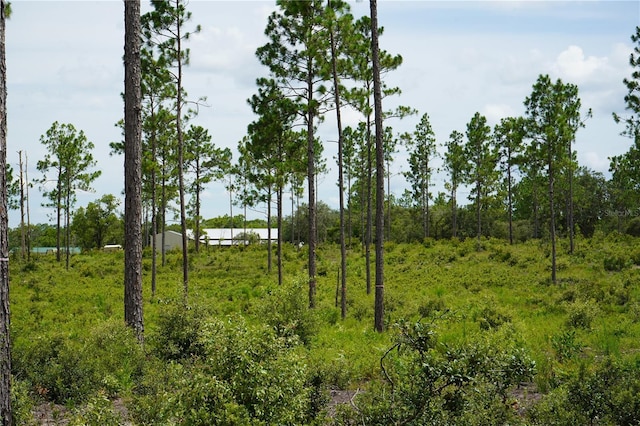 SE State Road 121, Morriston, FL 32668 - photo 18