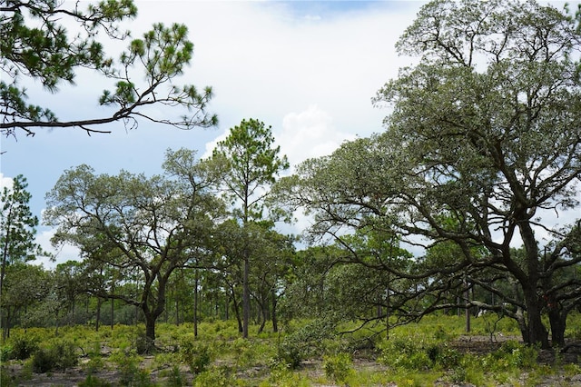SE State Road 121, Morriston, FL 32668 - photo 20