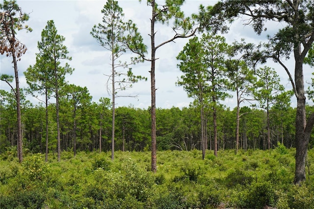 SE State Road 121, Morriston, FL 32668 - photo 21