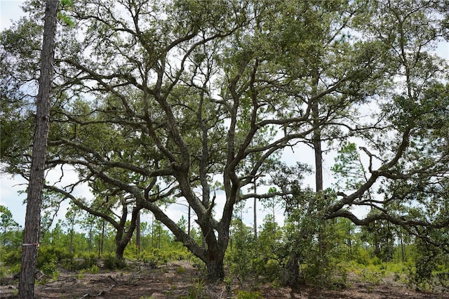 SE State Road 121, Morriston, FL 32668 - photo 22