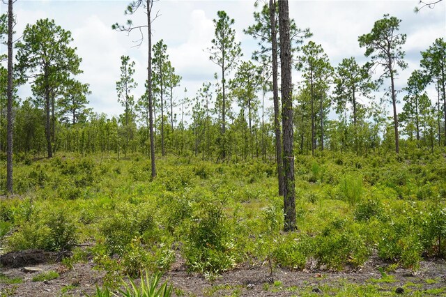 SE State Road 121, Morriston, FL 32668 - photo 24
