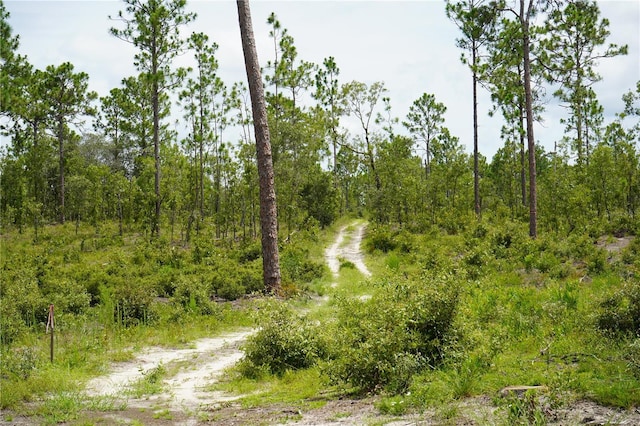 SE State Road 121, Morriston, FL 32668 - photo 25