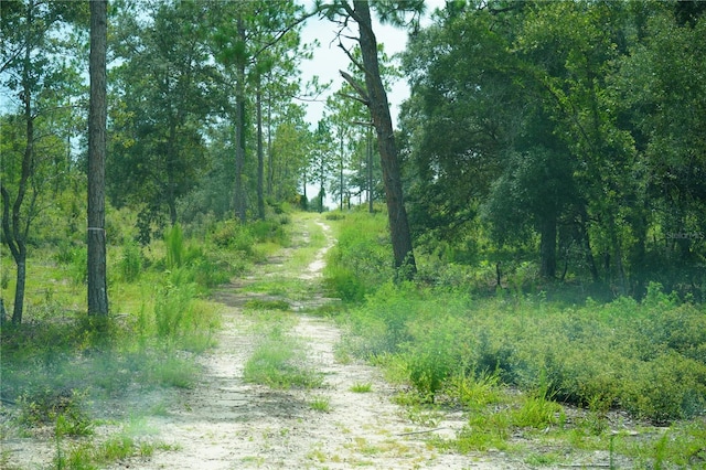 SE State Road 121, Morriston, FL 32668 - photo 26