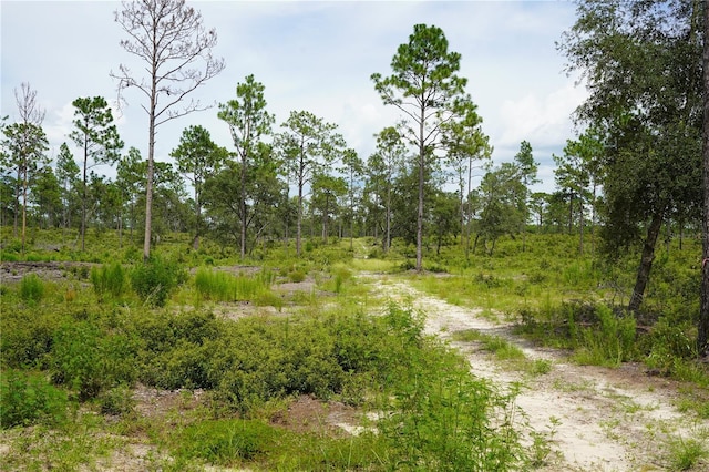 SE State Road 121, Morriston, FL 32668 - photo 1