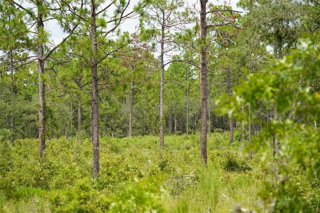 SE State Road 121, Morriston, FL 32668 - photo 7