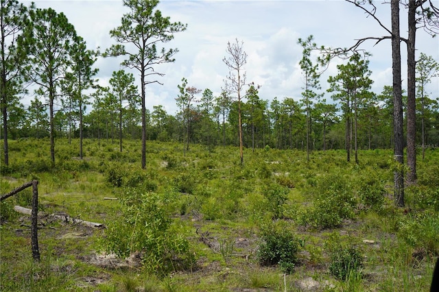 SE State Road 121, Morriston, FL 32668 - photo 8
