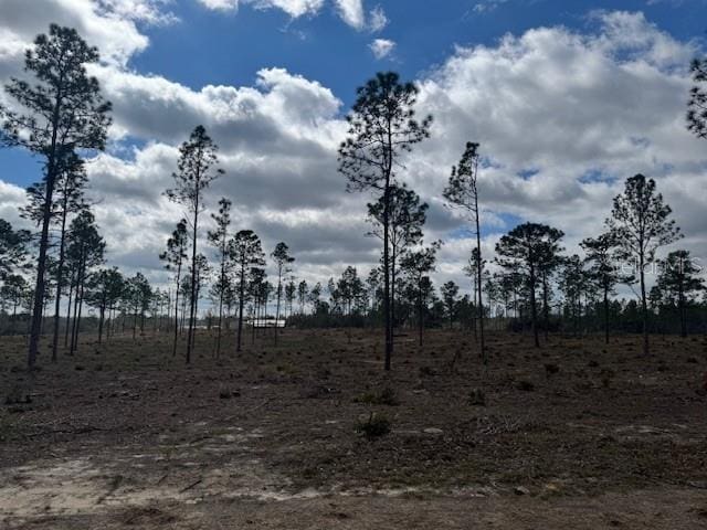 LotC Se State Road 121, Morriston FL, 32668 land for sale