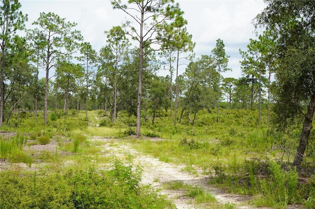SE State Road 121, Morriston, FL 32668 - photo 9