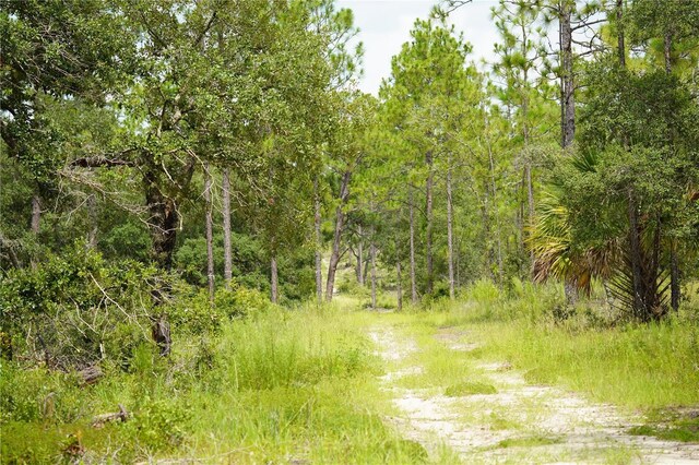 SE State Road 121, Morriston, FL 32668 - photo 6
