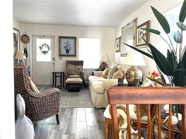 living room featuring a textured ceiling